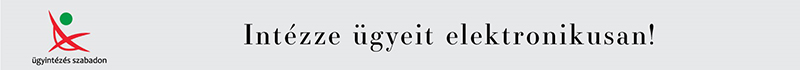 E-ÖNKORMÁNYZAT PORTÁL